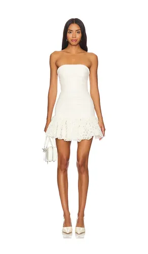 Roxie Mini Dress in . Size S. Also in XS - Lovers and Friends - Modalova