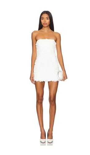 Lucia Mini Dress in . - size L (also in M, S, XS) - Lovers and Friends - Modalova