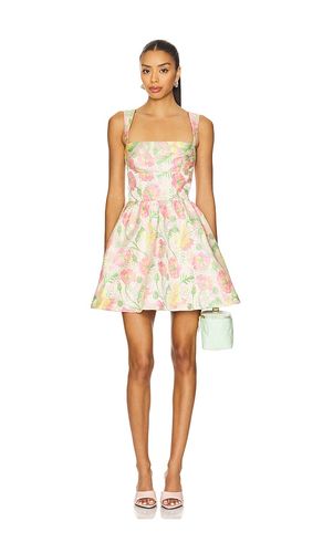 Ivy Mini Dress in Blush. - size L (also in M) - Lovers and Friends - Modalova