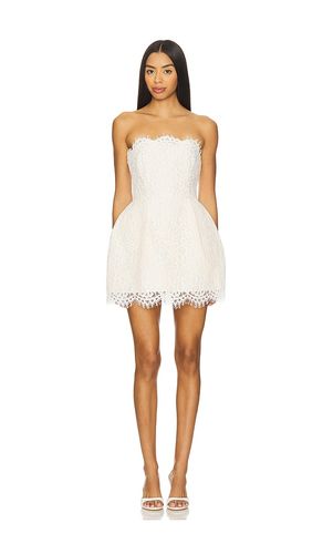 Sarina Mini Dress in . Size L. Also in S, XS - Lovers and Friends - Modalova