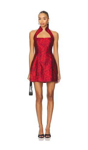 Molli Mini Dress in . - size S (also in XS) - Lovers and Friends - Modalova