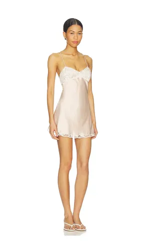Morya Mini Dress in . Size L. Also in XL - Lovers and Friends - Modalova