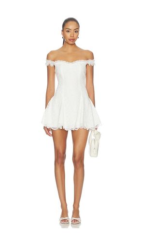 Daphne Mini Dress in . Size L. Also in M, XL - Lovers and Friends - Modalova