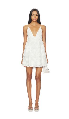 Kalin Mini Dress in . Size L. Also in M, XL - Lovers and Friends - Modalova