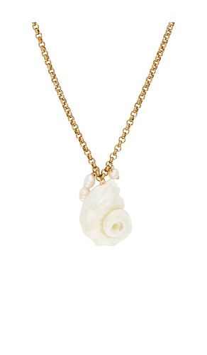 Drew shell necklace in color metallic gold size all - Lovers and Friends - Modalova