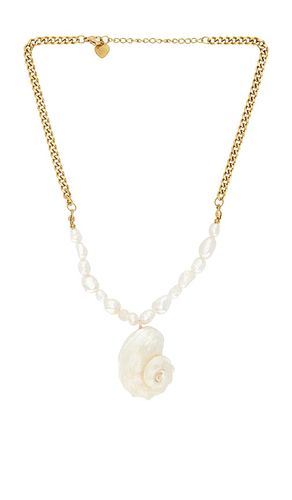 Eden Shell Necklace in - Lovers and Friends - Modalova