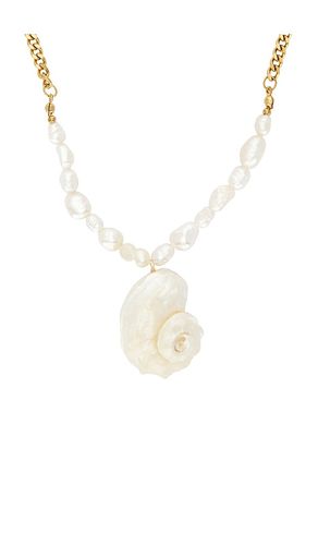 Eden Shell Necklace in - Lovers and Friends - Modalova