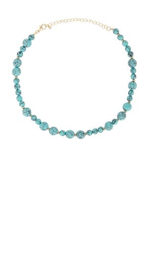 Kailani Shell Necklace in - Lovers and Friends - Modalova