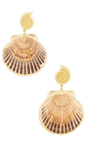 Noelani Shell Earrings in - Lovers and Friends - Modalova