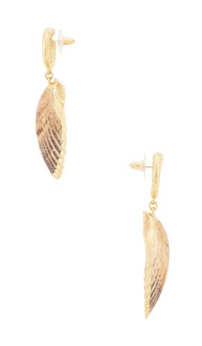 Noelani Shell Earrings in - Lovers and Friends - Modalova