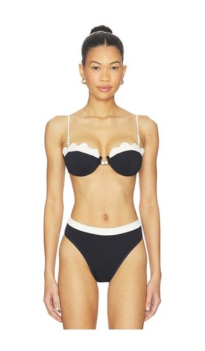 Sunrise Seashell Bikini Top in ,White. - size M (also in S) - LSPACE - Modalova