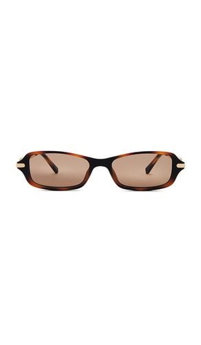 Bamboozler Sunglasses in Brown - Le Specs - Modalova