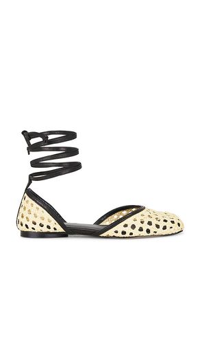 Clio Flat in . Size 5.5. Also in 8.5, 9 - LPA - Modalova