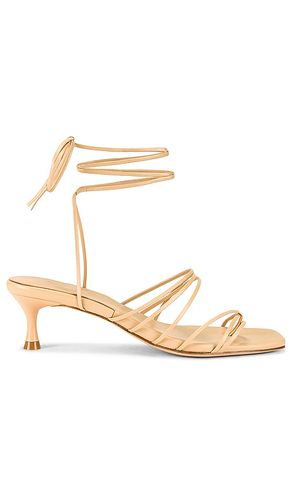 Lucia Heel in . - size 6 (also in 6.5, 7, 7.5, 8, 9) - LPA - Modalova
