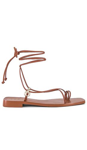Portofino Flat Sandal in . Size 7, 8 - Larroude - Modalova