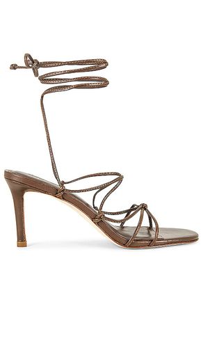 Rome Lo Heel Sandal in . Size 6.5, 7, 7.5, 8, 8.5, 9 - Larroude - Modalova