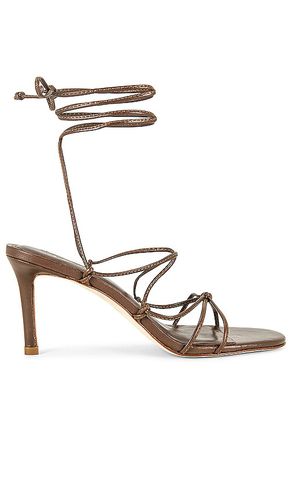 Rome Lo Heel Sandal in . Size 8.5 - Larroude - Modalova