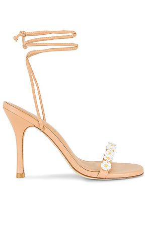 Goldie Sandal in . Size 5.5, 6, 6.5, 7, 7.5, 8, 8.5, 9, 9.5 - Larroude - Modalova
