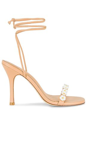 Goldie Sandal in . Taglia 9 - Larroude - Modalova