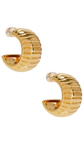 Remy Ridged Hoops in - Luv AJ - Modalova