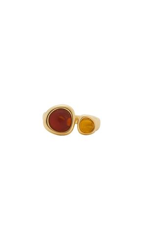 The Honey Resin Stud Ring in . Size 5. Also in 6, 7 - Luv AJ - Modalova