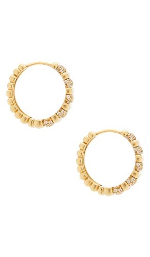 The Pave Marbella Ridged Hoops in - Luv AJ - Modalova