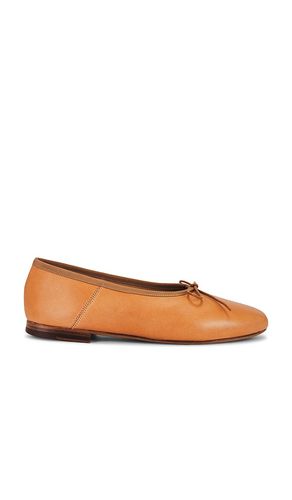 Dream Ballerina Flat in Tan. - size 36 (also in 36.5, 37.5, 38, 39, 39.5, 40) - Mansur Gavriel - Modalova