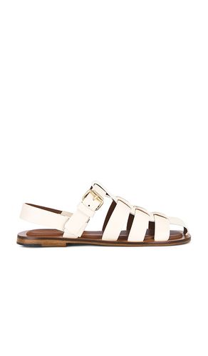 Fisherman Sandal in Cream. - size 37 (also in 39) - Mansur Gavriel - Modalova