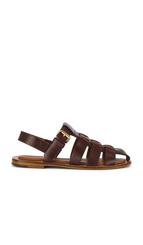 Fisherman Sandal in . - size 37 (also in 38, 39) - Mansur Gavriel - Modalova
