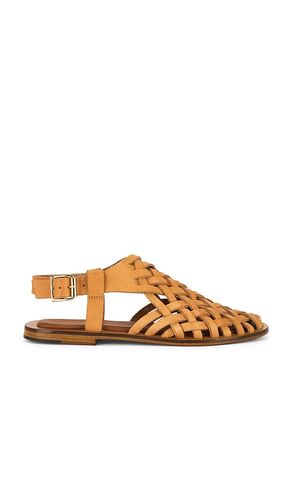 Woven Sandal in Tan. - size 36 (also in 37, 38, 39, 40) - Mansur Gavriel - Modalova