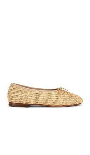 Dream Ballerina in . Size 36. Also in 37, 39 - Mansur Gavriel - Modalova