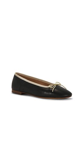 Dance Ballerina in . - size 36.5 (also in 37, 38, 38.5) - Mansur Gavriel - Modalova