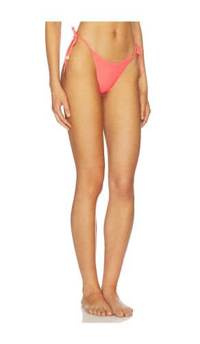 Sunset Punch Sunflash Bikini Bottom in Fuchsia. - size M (also in L) - Maaji - Modalova
