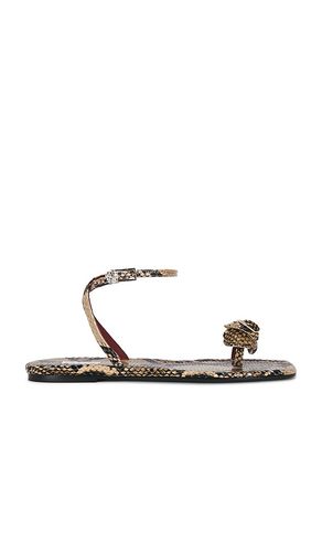 Rose Sandal in Brown. - size 36 (also in 37, 38, 39, 41) - Magda Butrym - Modalova