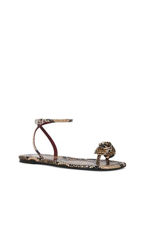 Rose Sandal in Brown. - size 36 (also in 37, 38, 39, 41) - Magda Butrym - Modalova