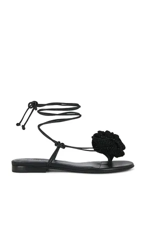 Wrap Around Flower Sandal in . - size 36 (also in 36.5, 37, 37.5, 39) - Magda Butrym - Modalova