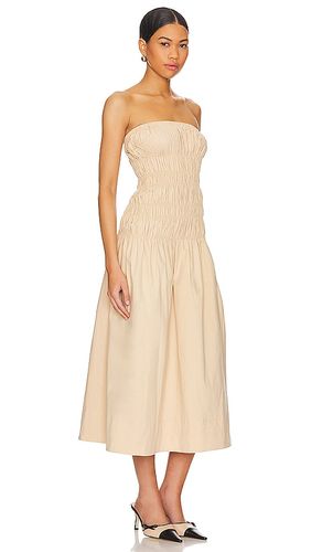 KLEID VANNA in . Größe L. Also in M, XL - MAJORELLE - Modalova