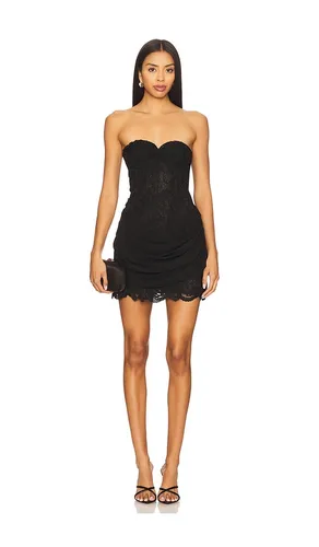 Katina Mini Dress in . - size M (also in S, XL, XS) - MAJORELLE - Modalova