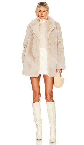 Tatiana Faux Fur Coat in . Size M, S, XS, XXS - MAJORELLE - Modalova