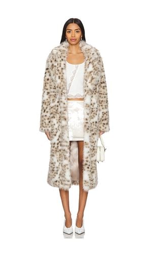 X Emma Rose Lola Faux Fur Coat in White. - size XS (also in XXS) - MAJORELLE - Modalova