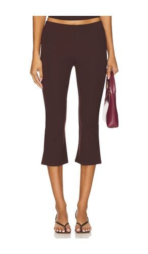 Royce Capri in Chocolate. - size L (also in M, S, XL, XS, XXS) - MAJORELLE - Modalova