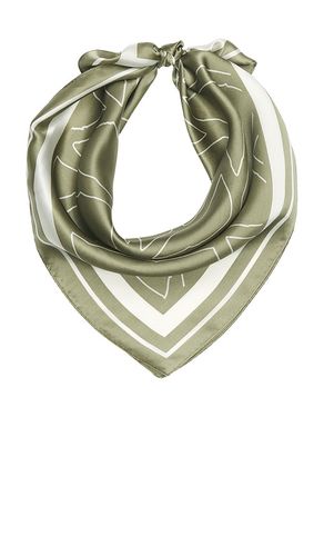 Clara scarf in color sage size all - Malbon - Modalova