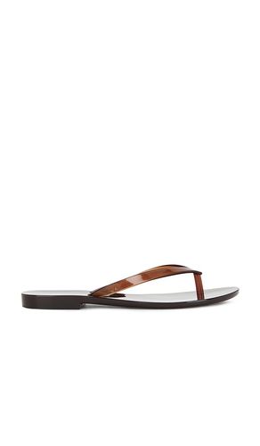 X Melissa Jelly Thong Flip Flop in . Size 10. Also in 8, 9 - Madewell - Modalova