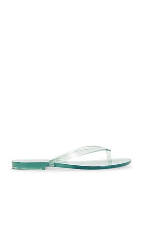 X Melissa Jelly Thong Flip Flop in . - size 5 (also in 7, 10) - Madewell - Modalova