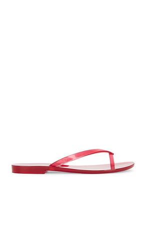 X Melissa Jelly Thong Flip Flop in Red. - size 5 (also in 6) - Madewell - Modalova