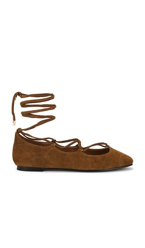 Greta Lace Up Flat in . Size 7. Also in 9 - Madewell - Modalova