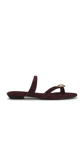 Mila Organic Hardware Thong Sandal in . Taglia 7. Also in 7.5 - Madewell - Modalova