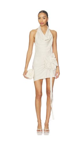 Patsy Mini Dress in . Size M. Also in S, XS - Mother of All - Modalova