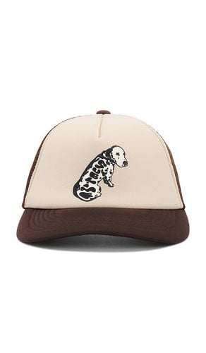 Sublime Garden Grove Dog Trucker Hat in - Market - Modalova