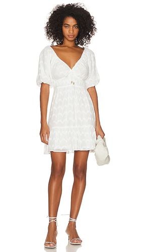 Abella Mini Dress in . - size L (also in M, XS) - MINKPINK - Modalova